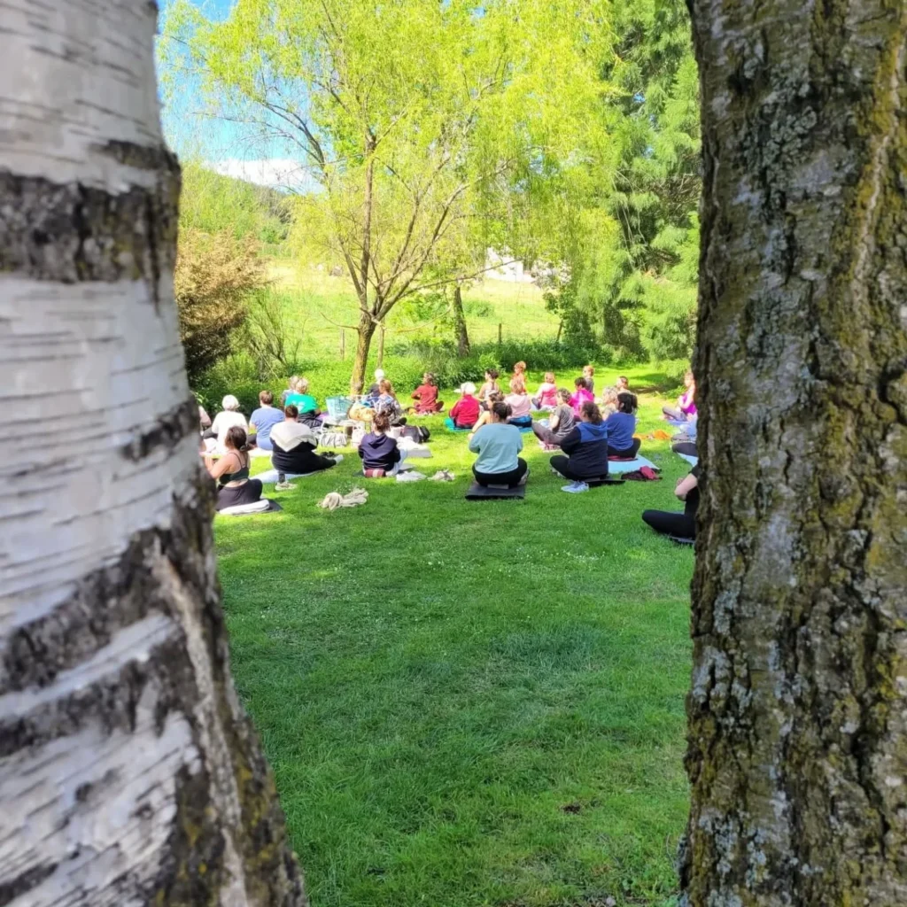 image Mon Arbre de Vie page accueil