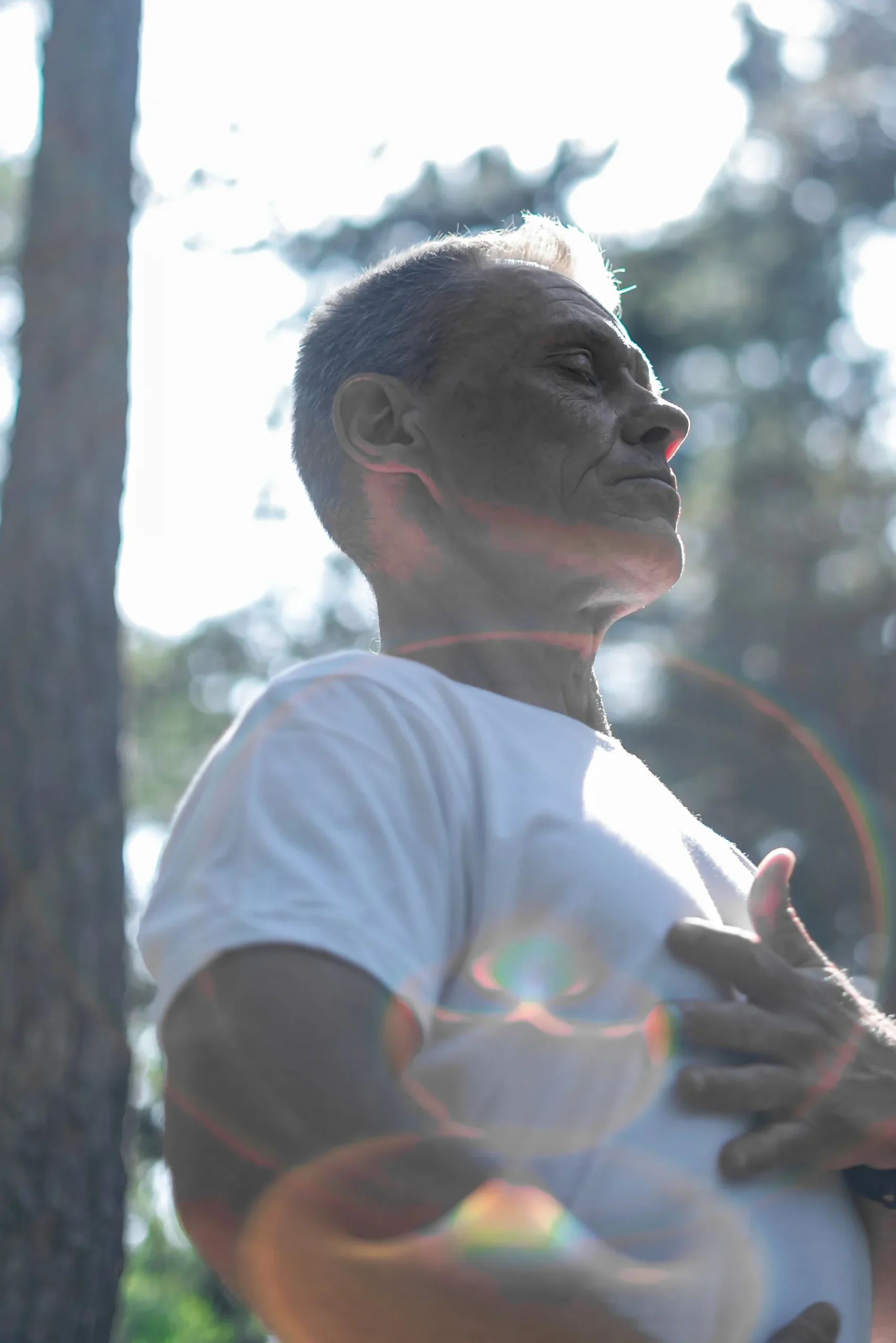 image Mon Arbre de Vie page accueil