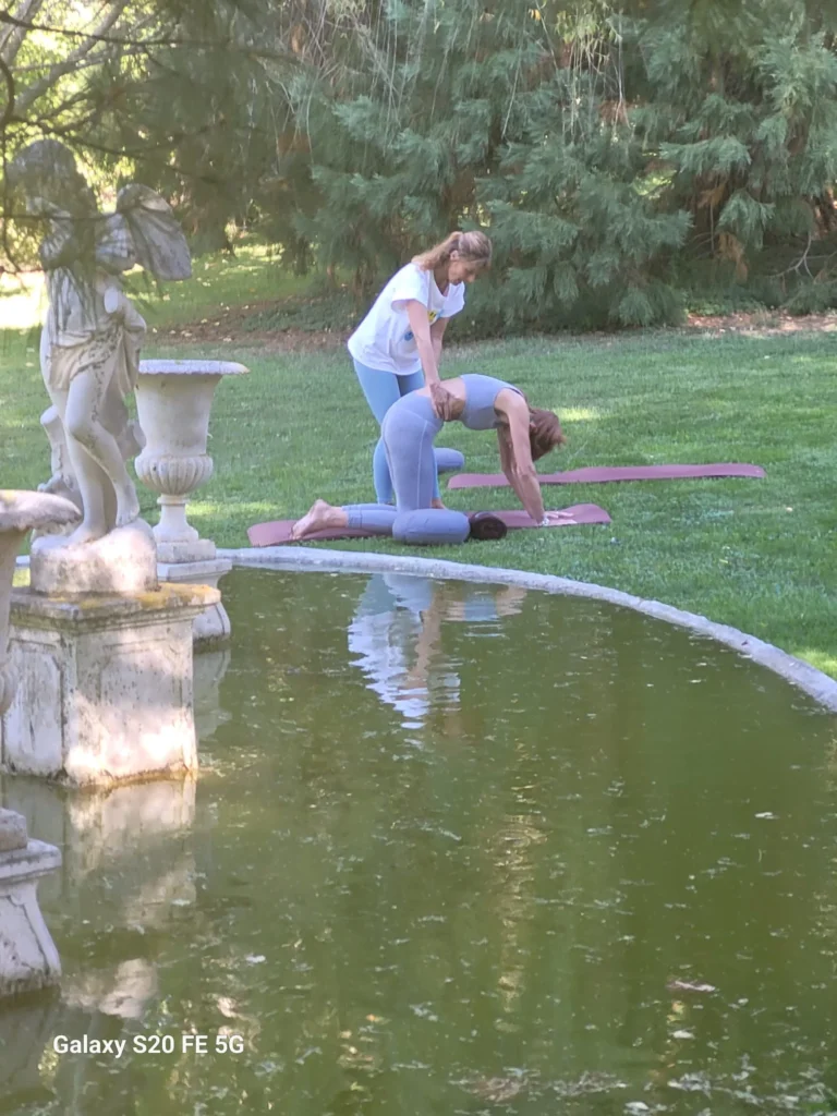 image Mon Arbre de Vie page galerie