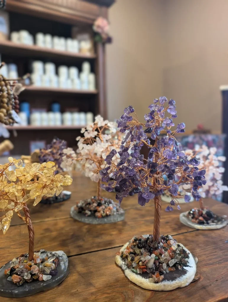 image Mon Arbre de Vie page galerie